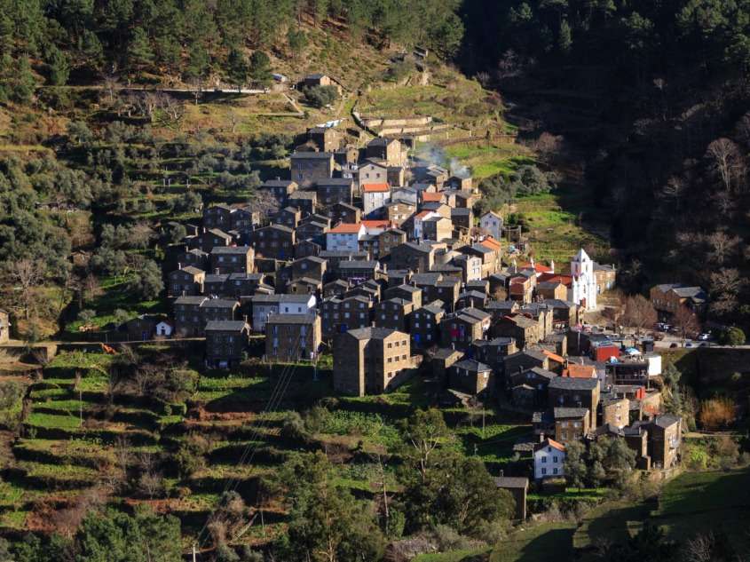 Chien De Montagne Portugais Caractère Prix Alimentation